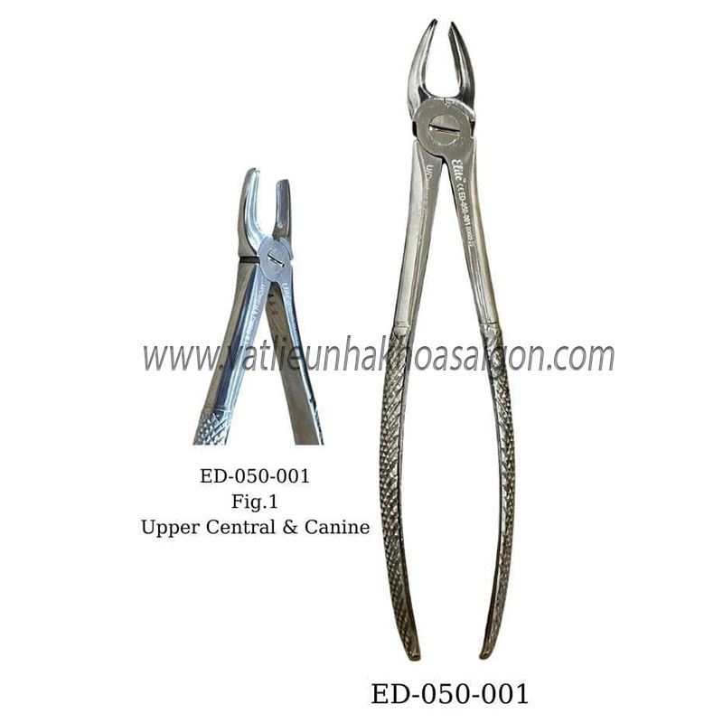 Kềm Nhổ Răng cửa giữa và răng nanh hàm trên fig.1	
