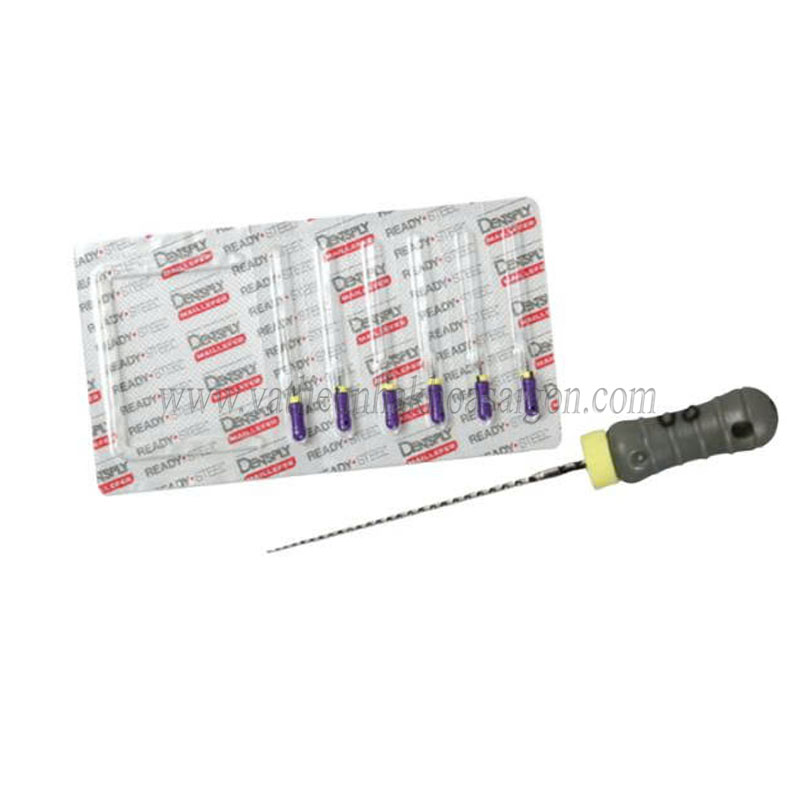 Trâm tay C+file Dentsply Sirona