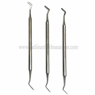 Cây hàn 2 đầu dẹt (Cây trám)