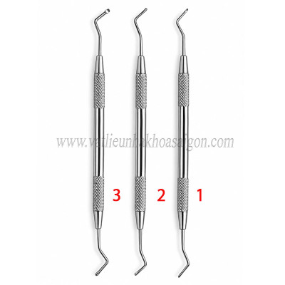 Cây nạo ngà Pakiatan Loại tốt